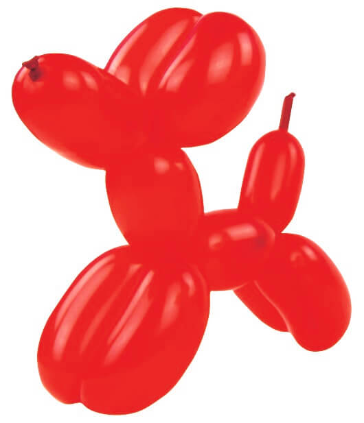 ANIMAL BALLOON MODELLING KIT