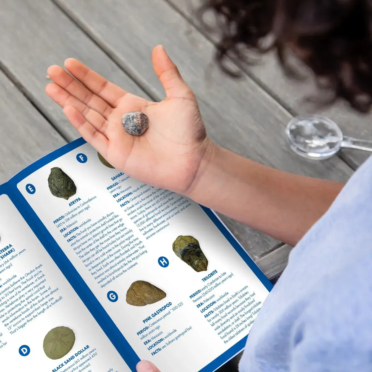 Geosafari® Fossil Excavation Kit