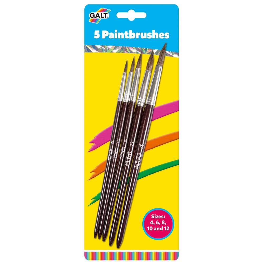 5 Paint Brushes