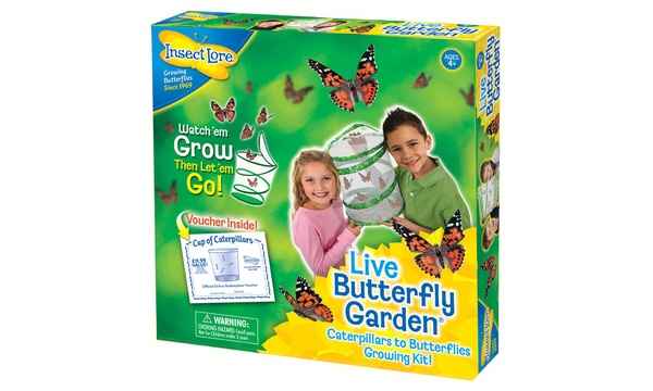 Butterfly Garden (Includes prepaid voucher to send for caterpillars)